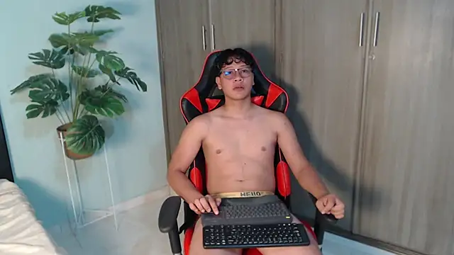 Mikertorresn Webbikameraesitys