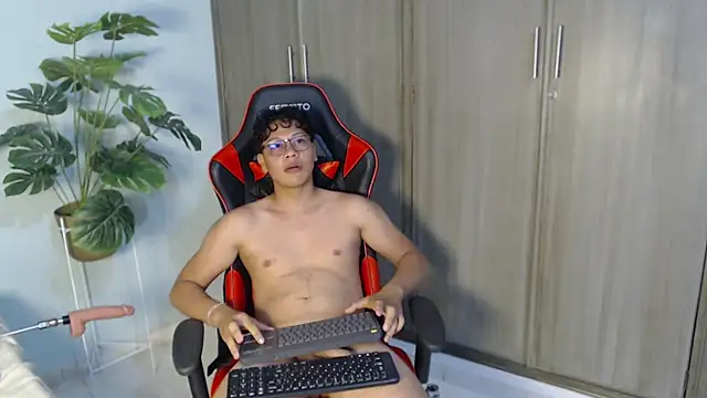 Mikertorresn Webbikameraesitys