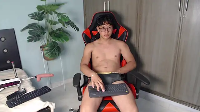 Mikertorresn Webbikameraesitys
