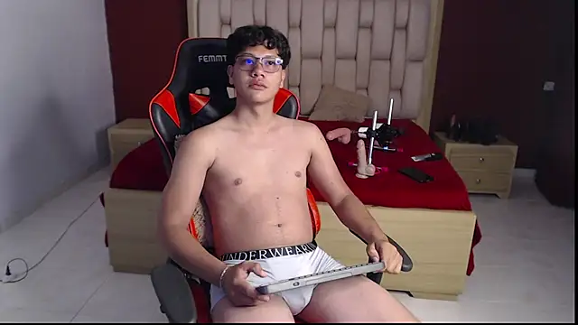 Mikertorresn Webbikameraesitys