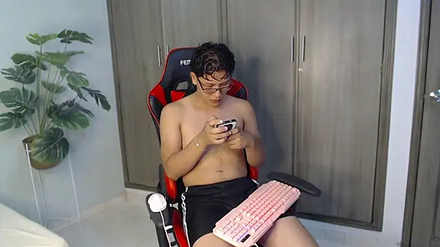 Mikertorresn Webbikameraesitys