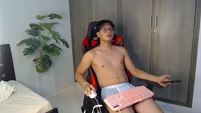 Mikertorresn Webbikameraesitys