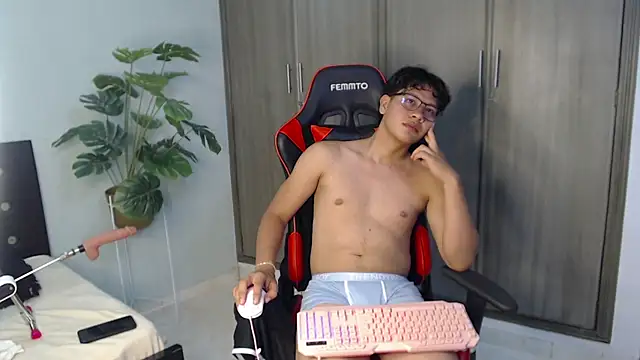 Mikertorresn Webbikameraesitys