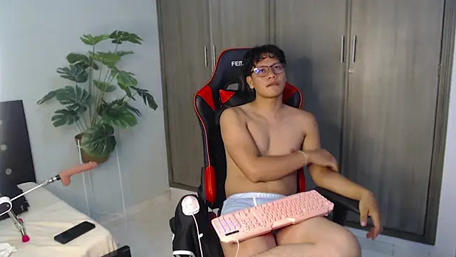 Mikertorresn Webbikameraesitys