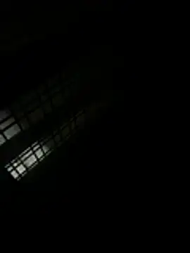 pavitharan Webbikameraesitys