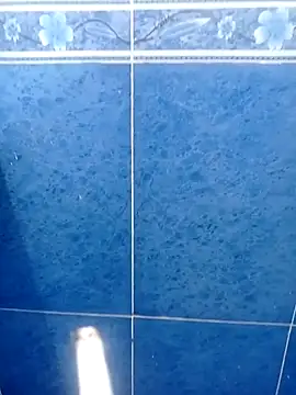 Show webcam de Dz54king