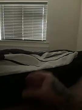 Show de webcam de wetstickycock