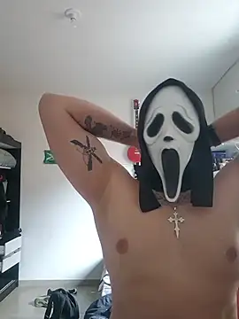 Show de torotov na webcam
