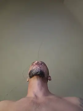 CHIP3NDALES41 webcam show