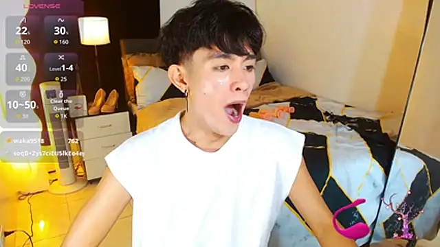 WildestTwink Webcam-Show