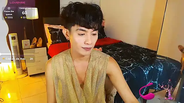 WildestTwinkのウェブカメラショー