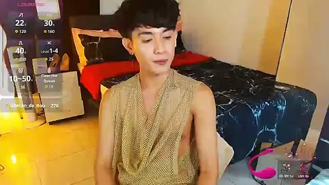 WildestTwinkのウェブカメラショー