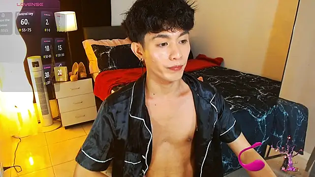 WildestTwink webcam show