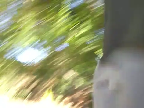 415cali925 Webcam-Show
