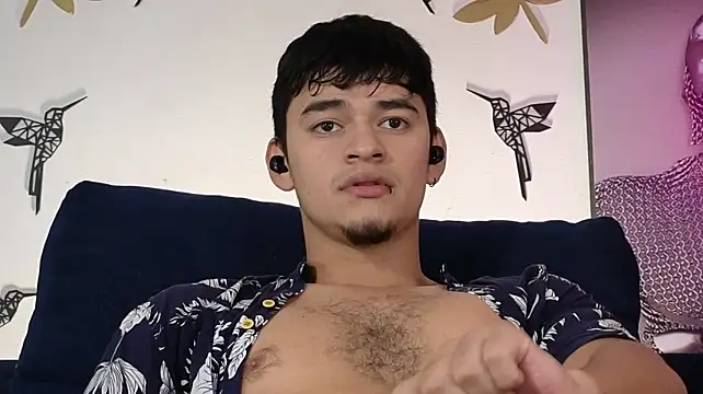 VikoHandsn Webbikameraesitys