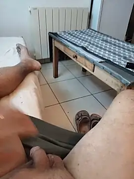 Corref Webcam-Show