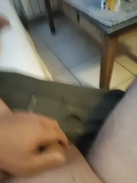 Corref Webcam Show