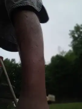 Biknight Webcam show