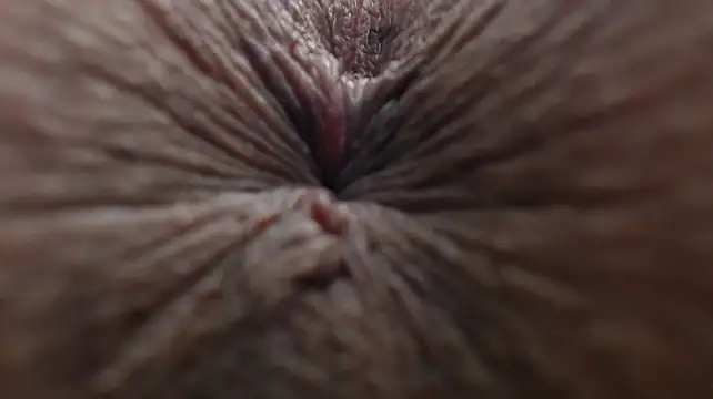 GanseloMix's Webcam Show