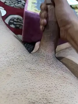 عرض كام ZA091234
