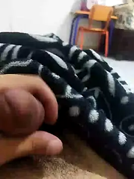 عرض كام kamellkhm