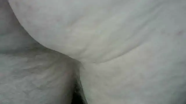 mole800 在線直播表演