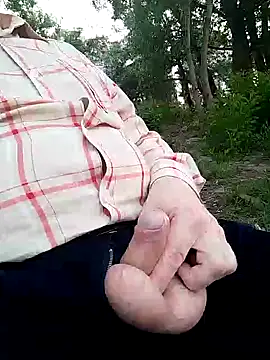 Pokaz2020 Show in webcam