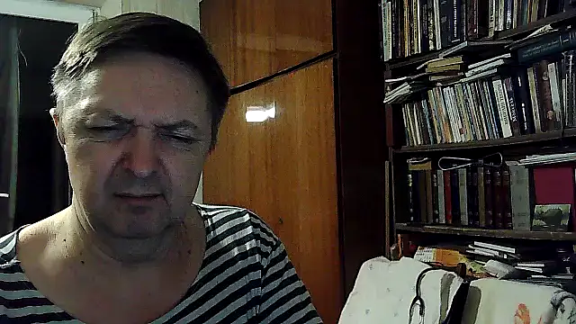 Show webcam de Pokaz2020