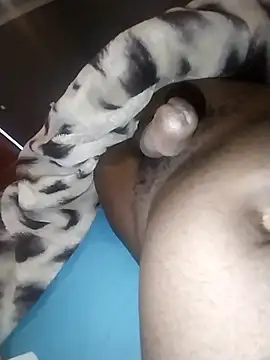 KingofPussylover09 网络视讯表演
