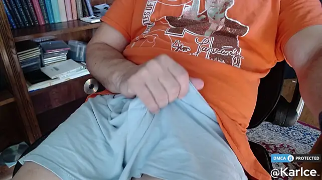 Show Webcam de karlce