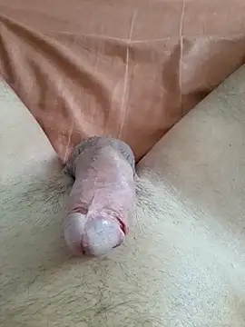 INDRAGOSTITUL's Webcam Show