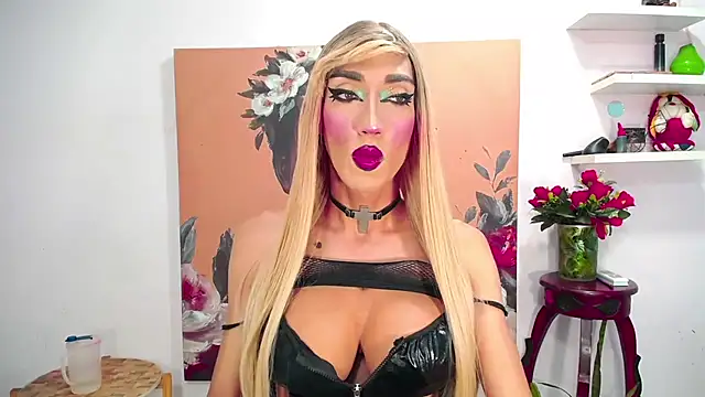 عرض كام karlaveckyts
