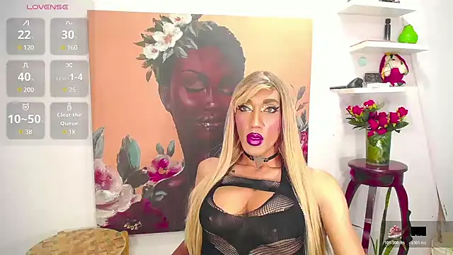 عرض كام karlaveckyts