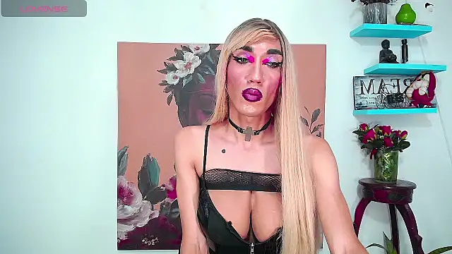 Webkamerová show karlaveckyts