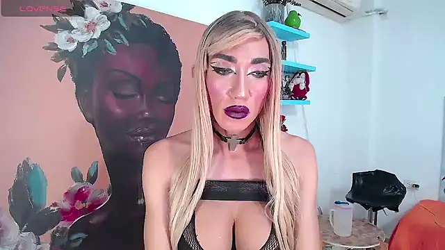 karlaveckyts Webcam-Show