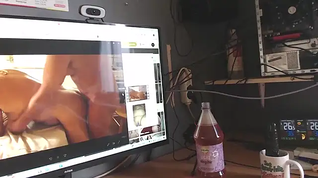 endastjag Webcam show