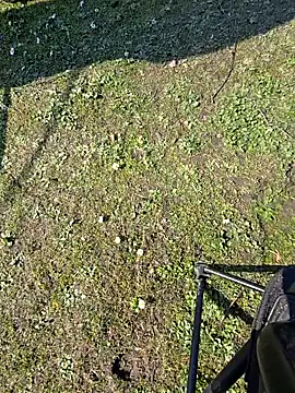 Show Webcam de MrNiceCock2020