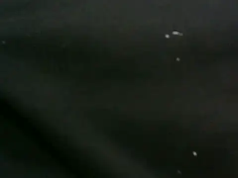 عرض كام vuran691