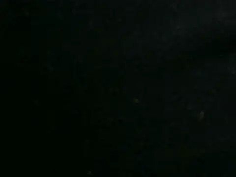 הופעת וובקאם של vuran691