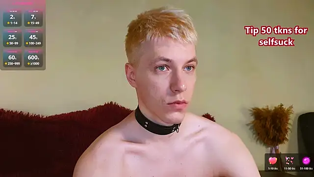 Show webcam de -ethan7inches-