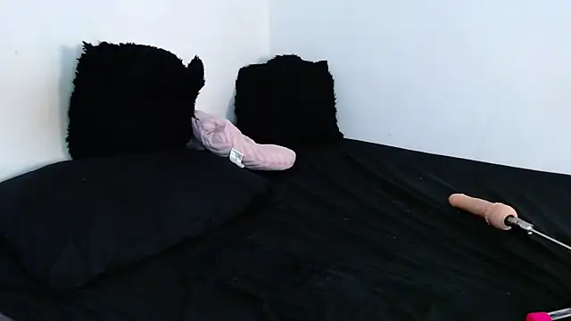 TonyCollins_n Webbikameraesitys