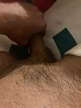 Show webcam de mikeylong