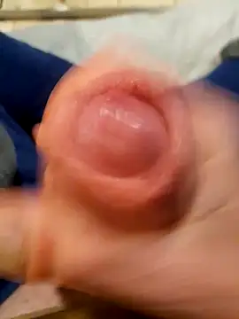 lambi123 Pertunjukan Webcam