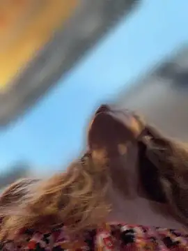 AnastasiaAniess Webcamshow