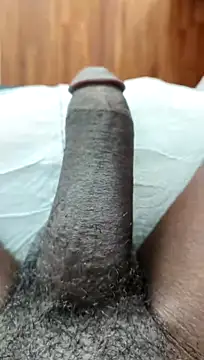 Blo95 Webcam show