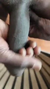 Blo95n Webbikameraesitys