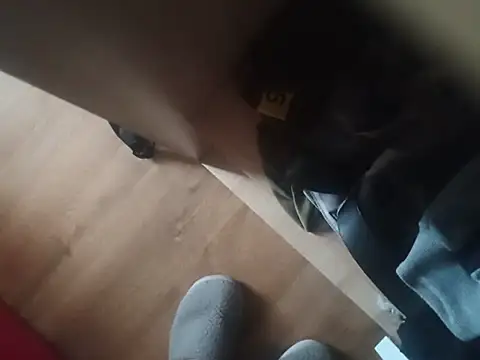 Pablo8501 Show in webcam