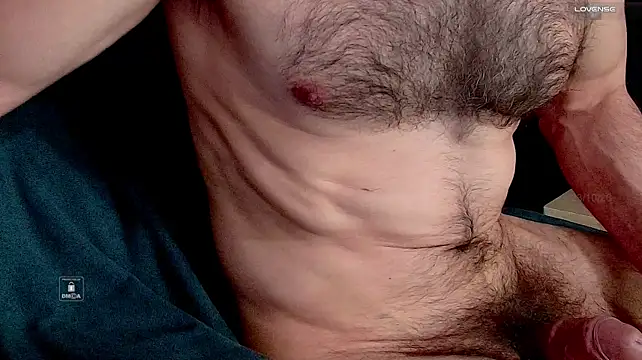Show Webcam de old_faithful