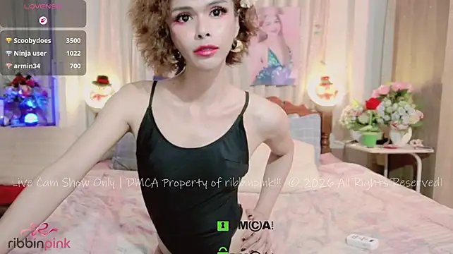 ribbinpink 웹캠 쇼