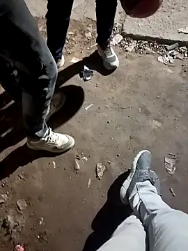 Pokazy przed kamerką – Bengali_BULL1